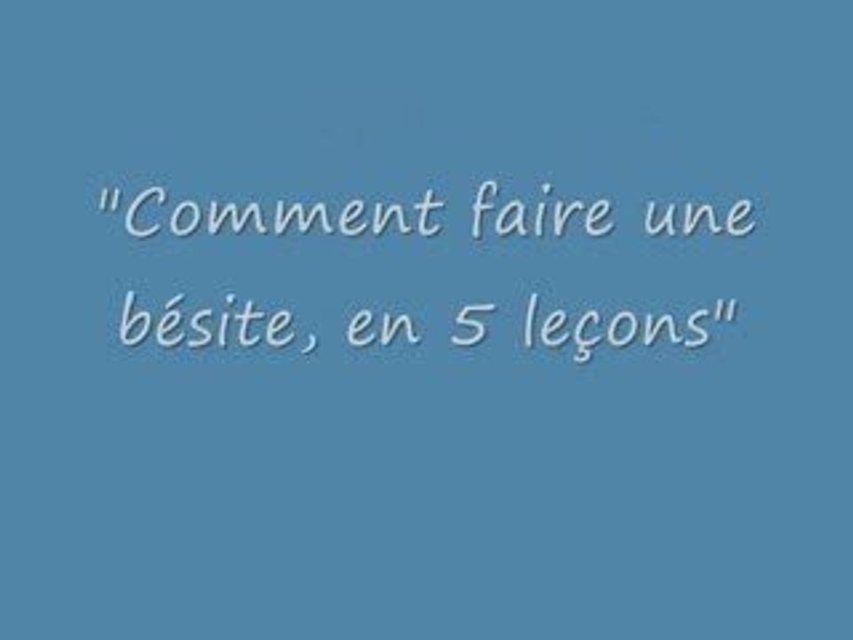 COMMENT FAIRE UNE BETISE EN 5 LECONS