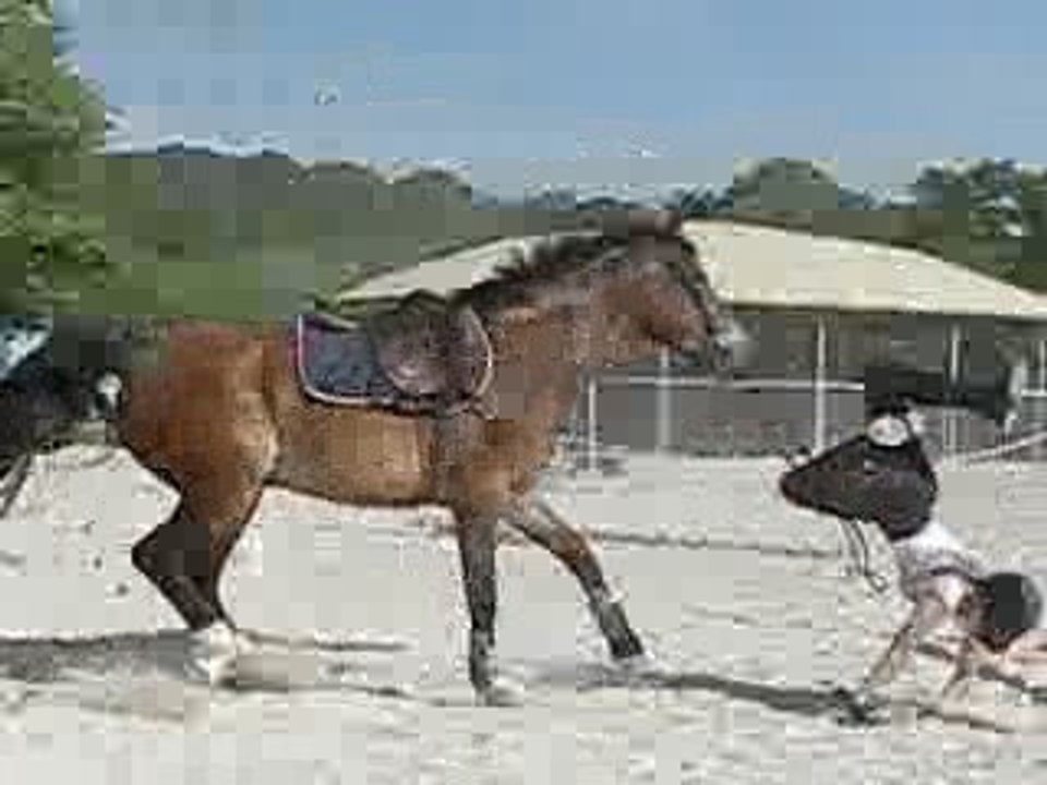 Lann Er Roch 09.05.09 Marine & Quézac