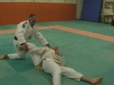 jujitsu Yoko gueri yoko wakare
