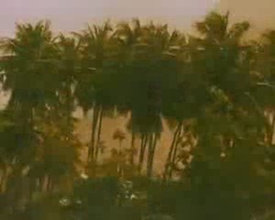 Sashamon - Peace Is A Fiyah