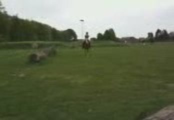 Video trec