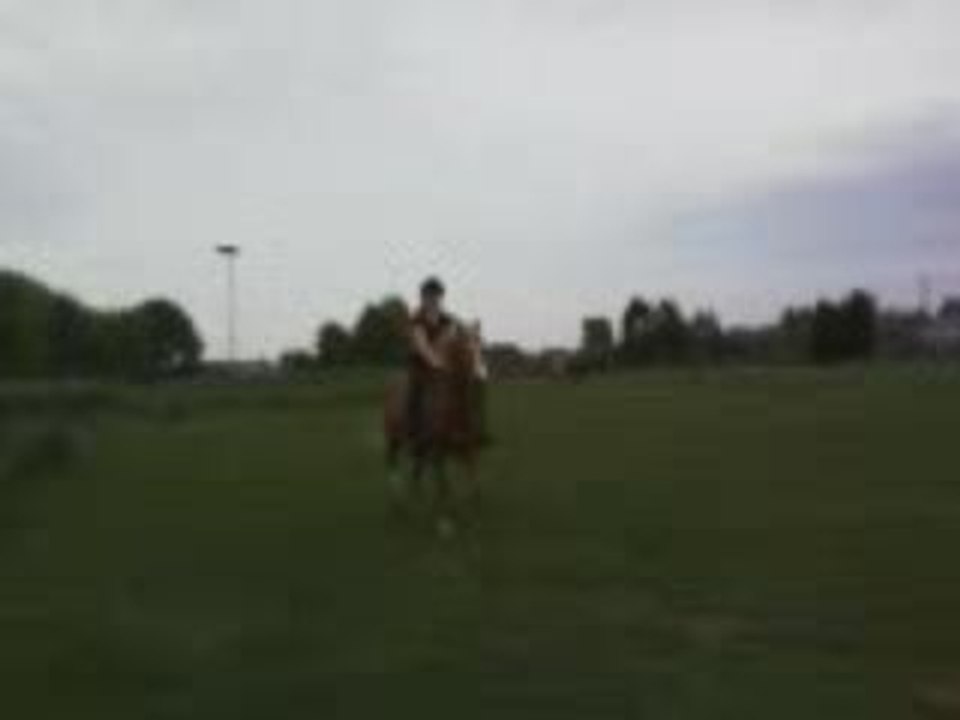 Video trec