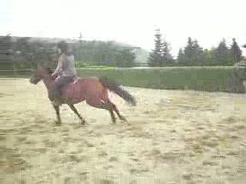 Pauline & Noblesse sur le Mur !