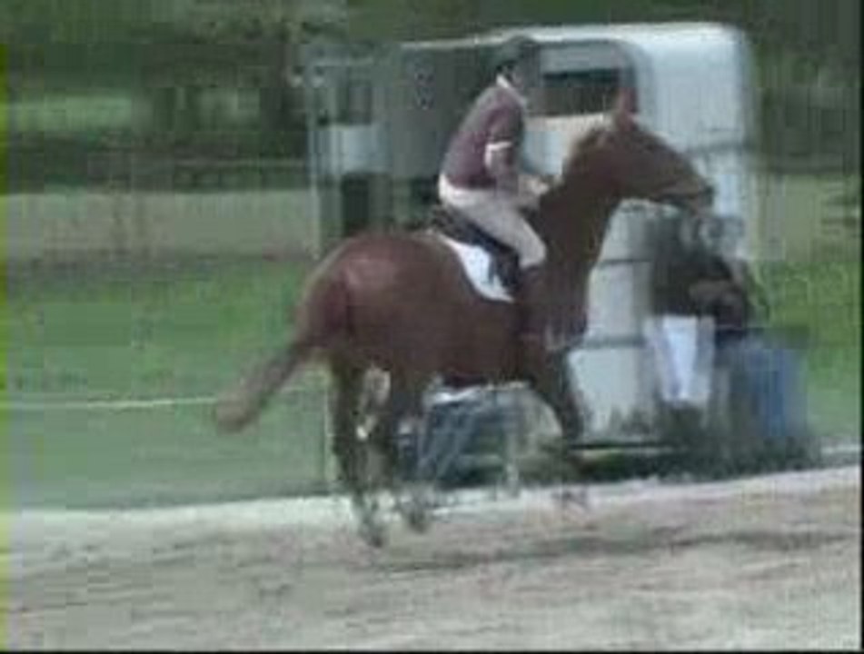 Video 3
