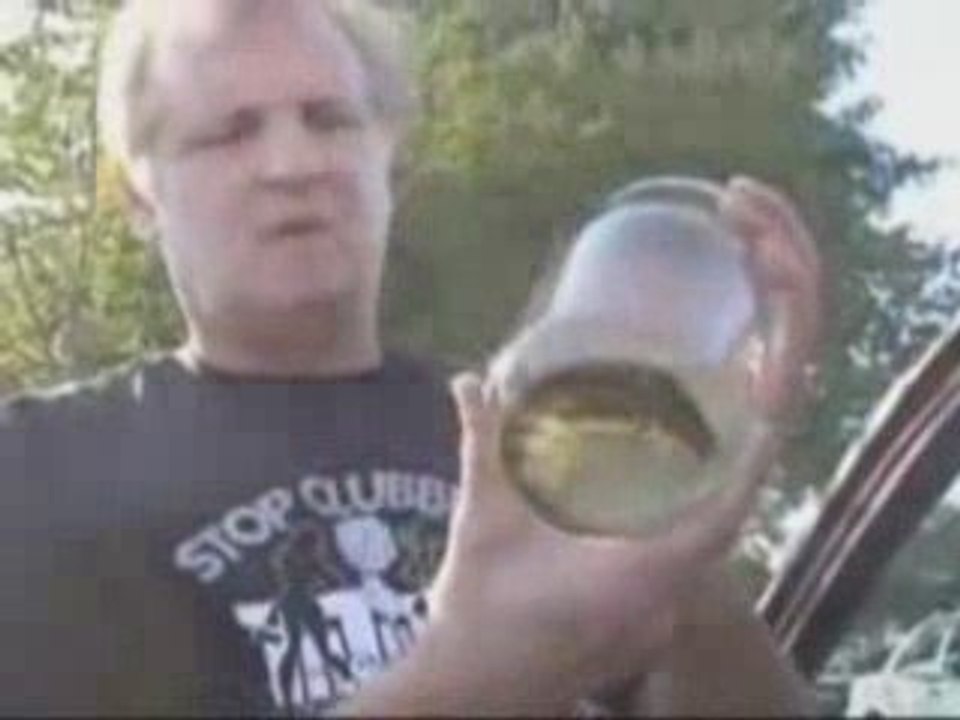 2012 The Online Movie - part 3/13