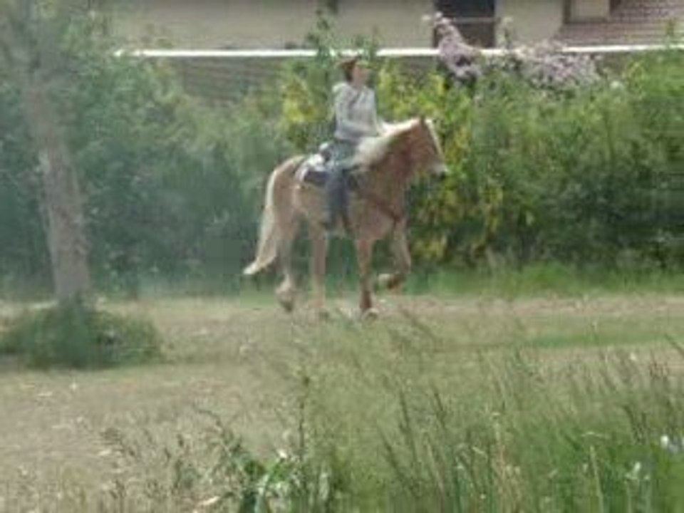 Galooop