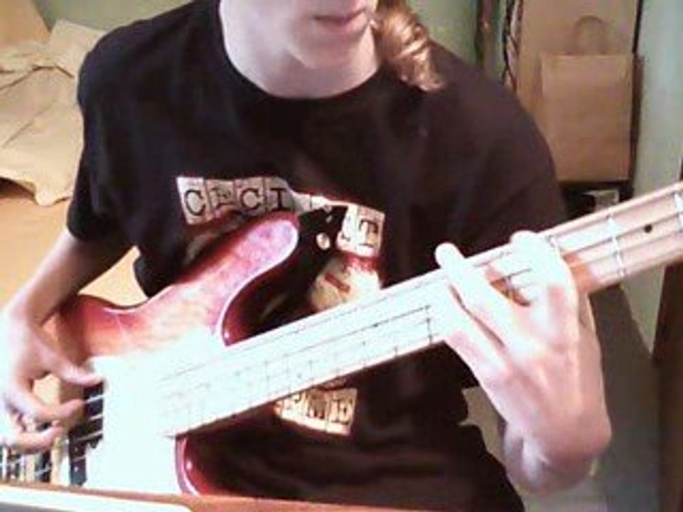 Snow red hot chili peppers (cover) à la basse