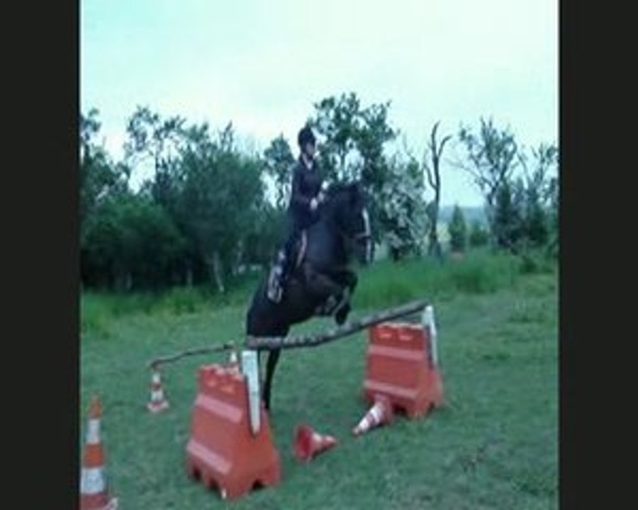 Louise et Maestro en saut