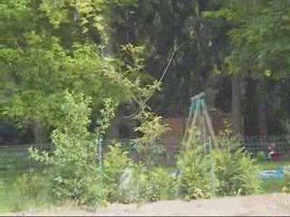 Concours mai 09 Island