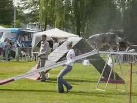 Concours SENLIS - Agility 10 Mai