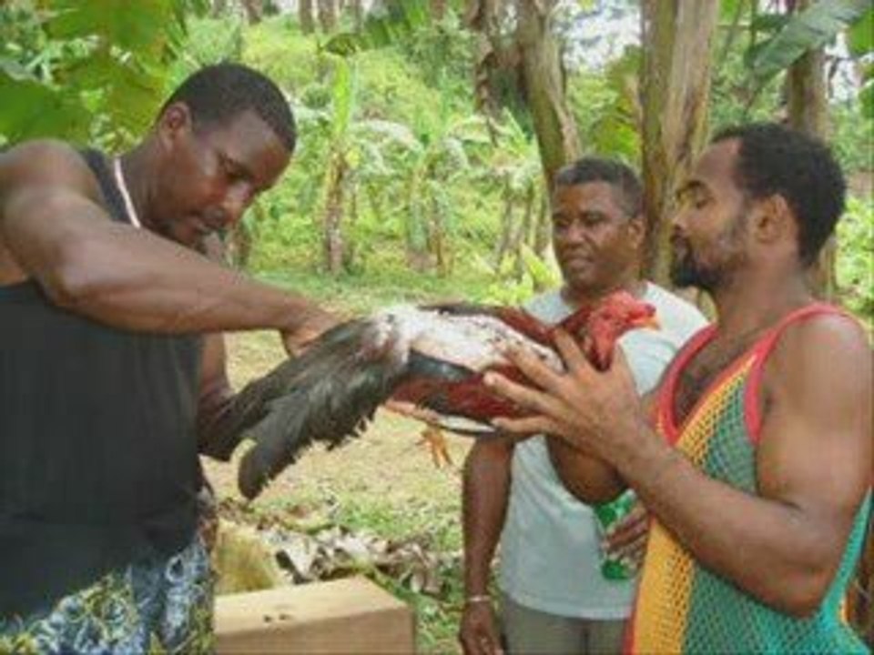 MON ÎLE