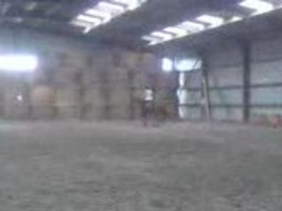 MOV00005