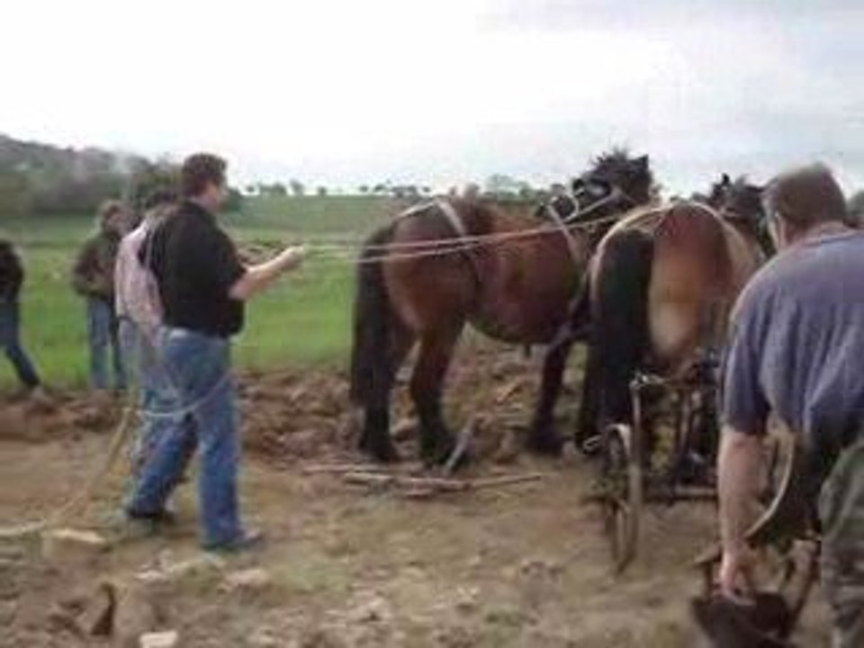 8 mai T.A Vosges (3)