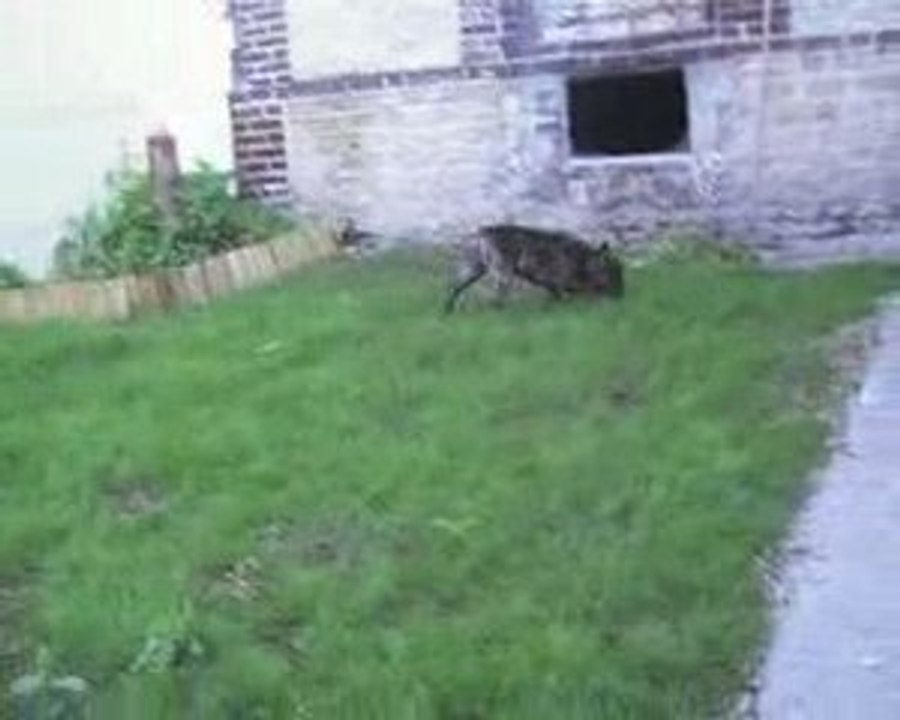 MOV051