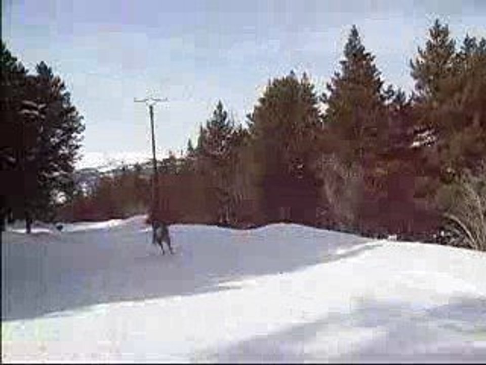 fin d'expo :"ouf j'en avais marre", qu'elle dit !