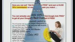Get Google Ads Free!