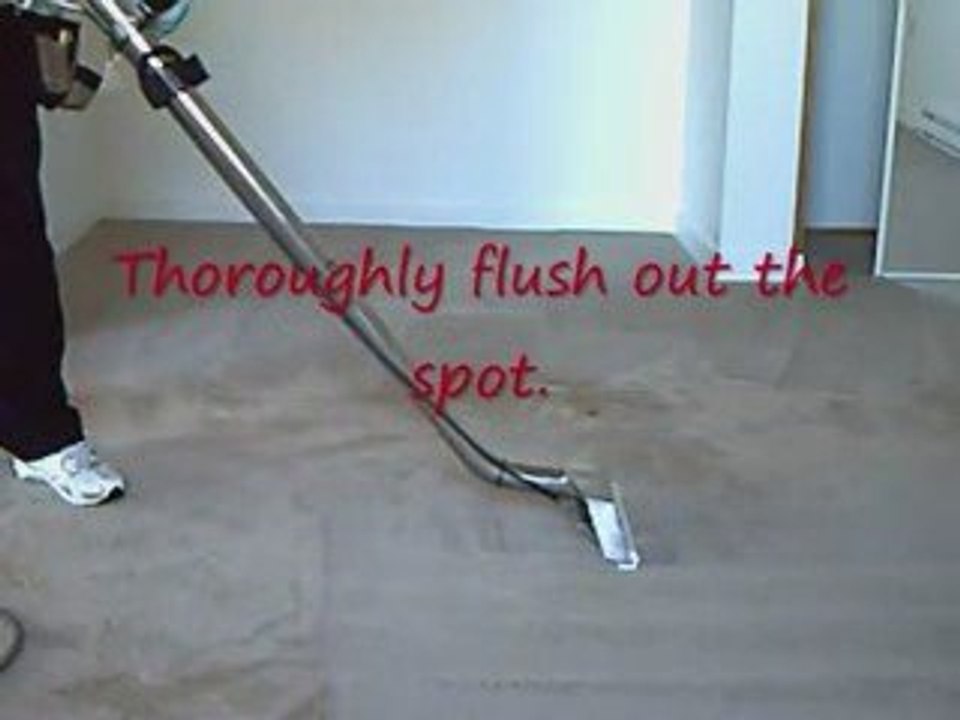 Professional Carpet Cleaners Narre Warren
