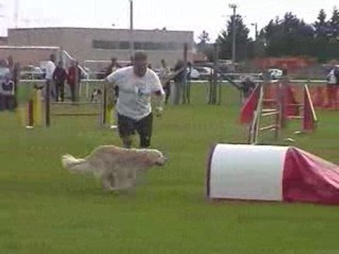 Salsa Jumping Agility Montrond 10/05/2009