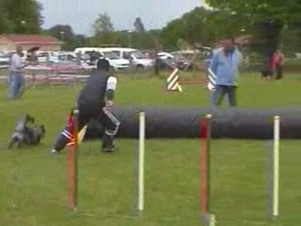 Blueberry Jumping Agility Montrond 10/05/2009