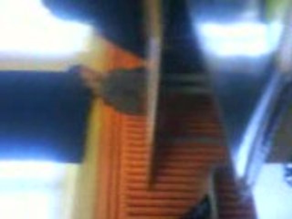 MOV04420