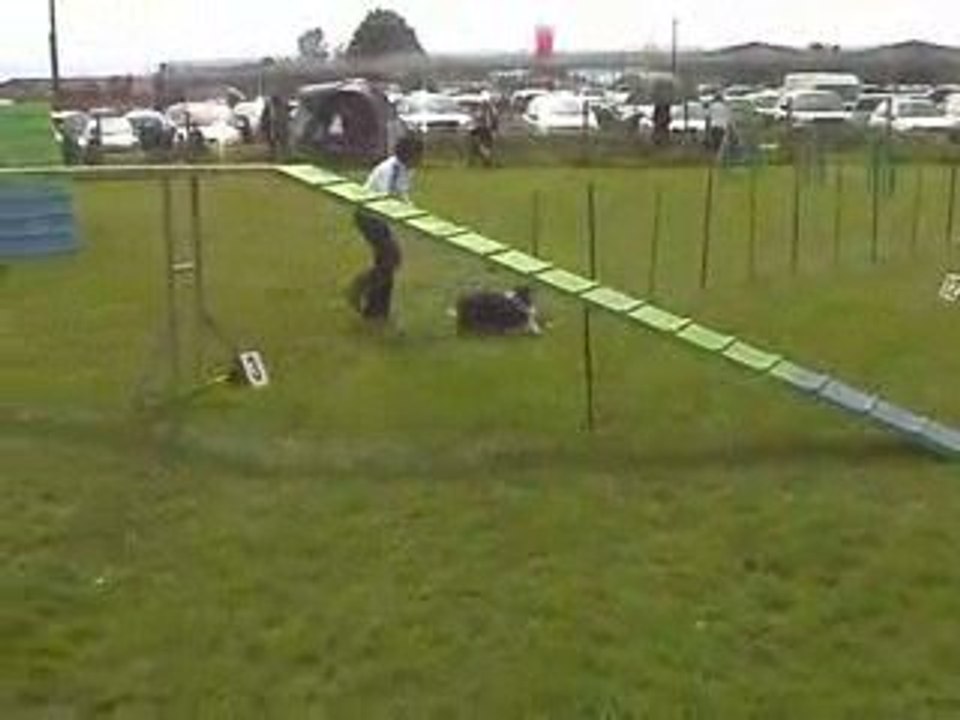 Angel GPF Agility Montrond 10/05/2009