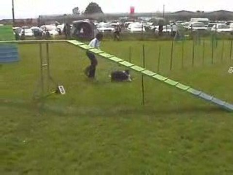 Angel GPF Agility Montrond 10/05/2009