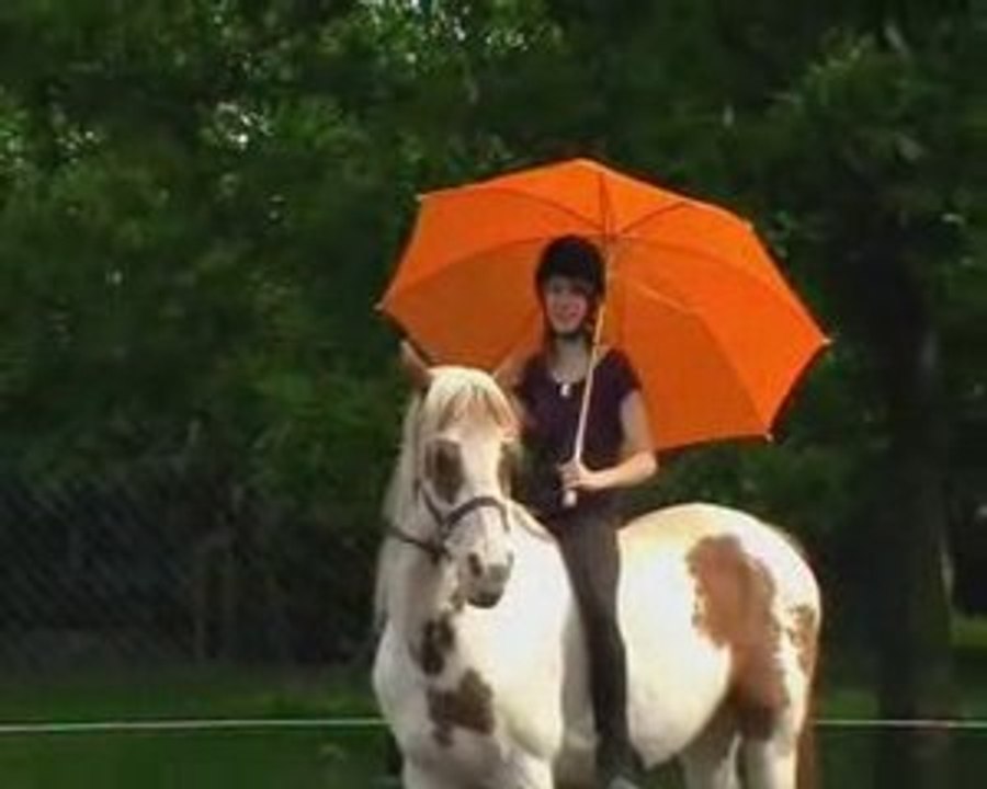 training horses and dogs from valley of angels