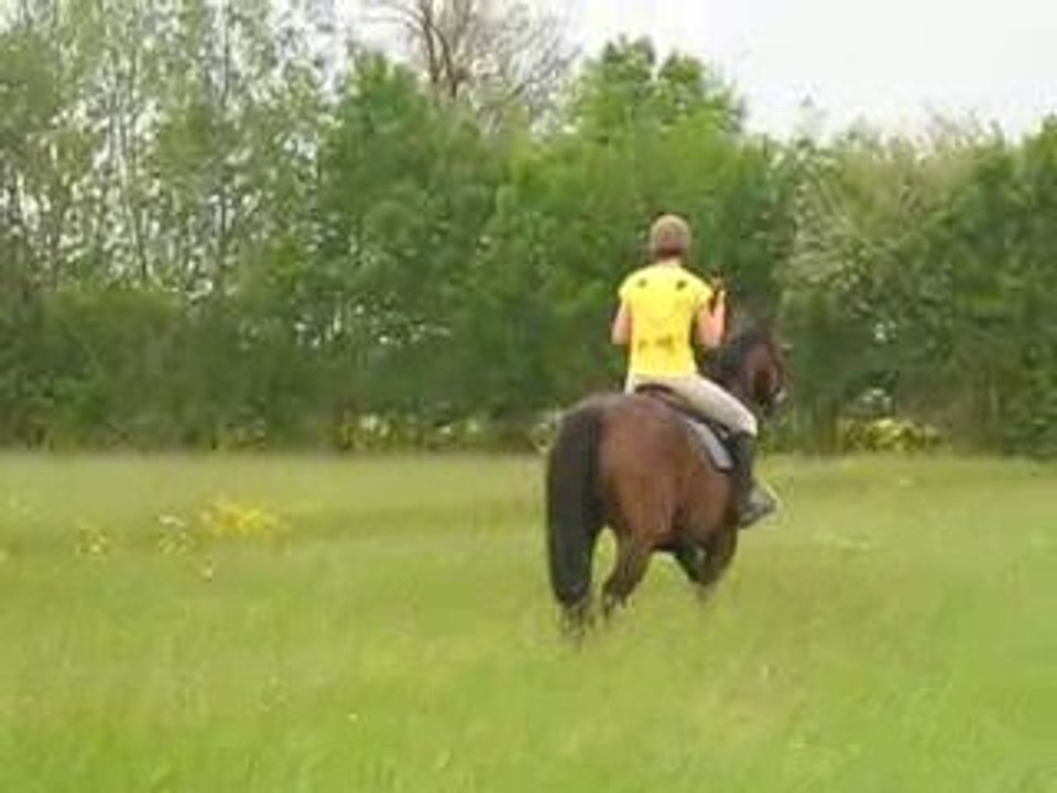 Kandjar dans la vallée de la loire