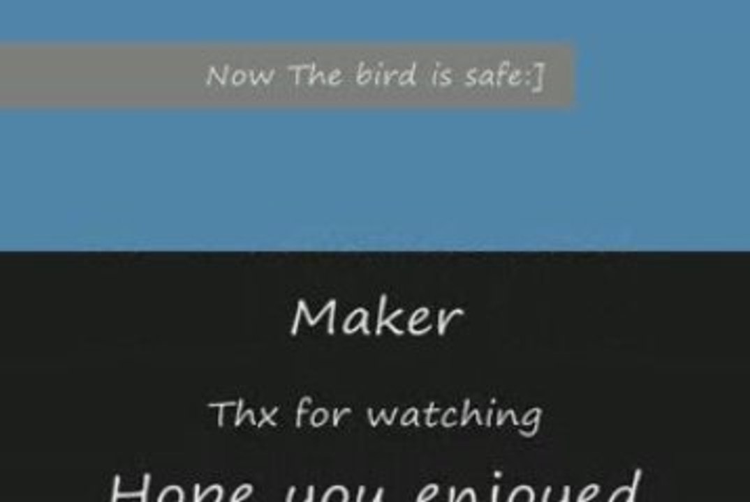 First Movie