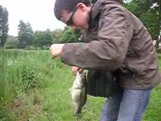 BLACK BASS SHAD SHAPE