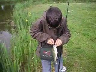 BLACK BASS ALEXANDRE 2009