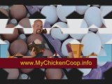Build 3 types of Chicken Coops