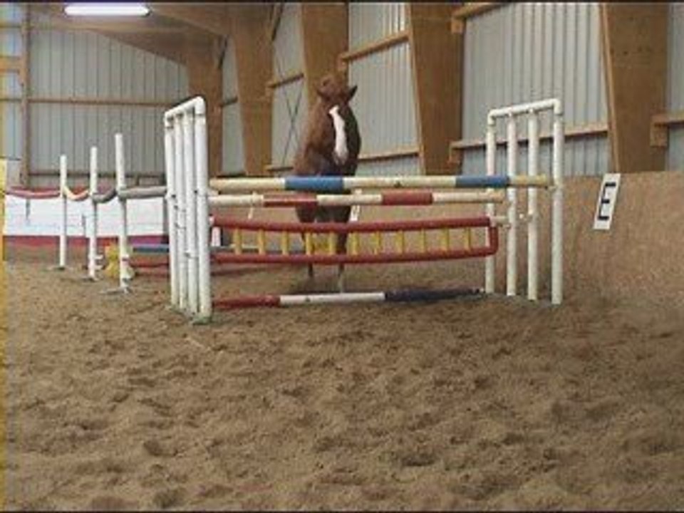 REALITY GIRL 5 JAN 2009