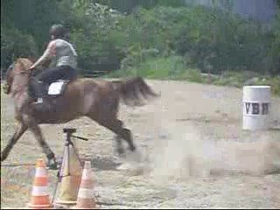 Photo 078