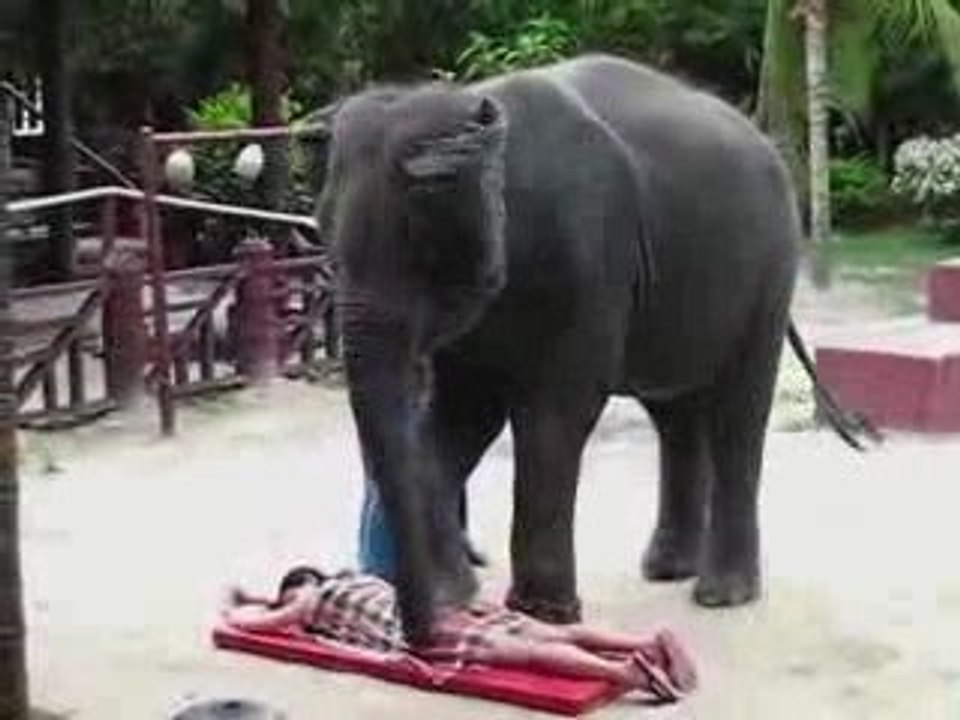 Nouveau massage thailandais