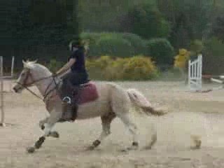 Norton et Moi en CSO