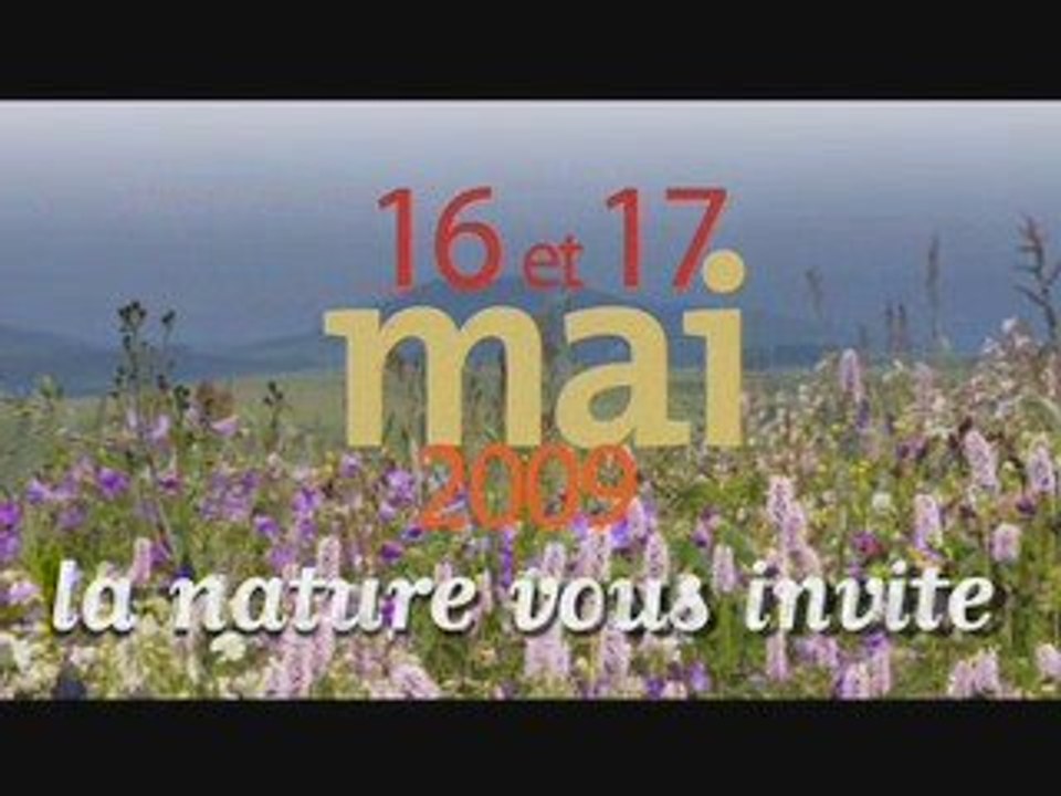 Ritournelles et coccinelles