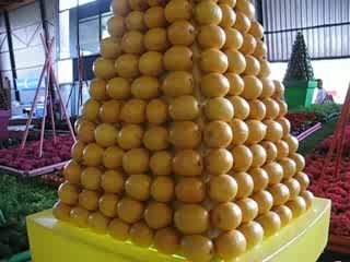 Nantes : Floralies 2009