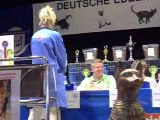 Best in Show Sibériens Ludwigshafen 2009