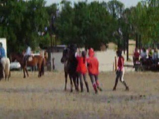 Intervilles St pierre