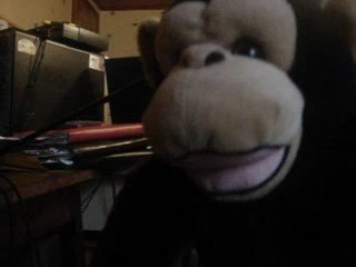 supporter de pont scorff