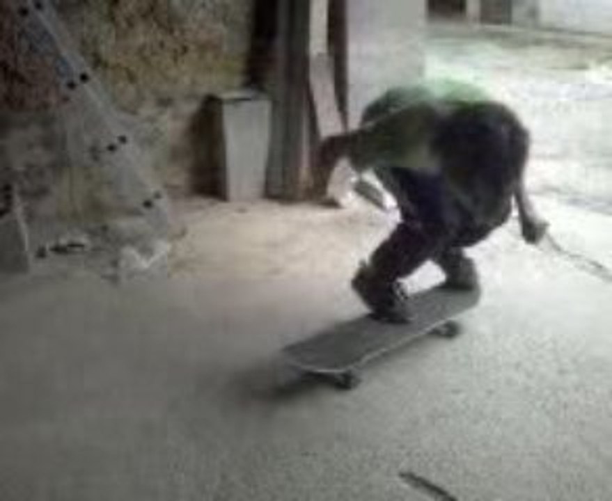 skateboard