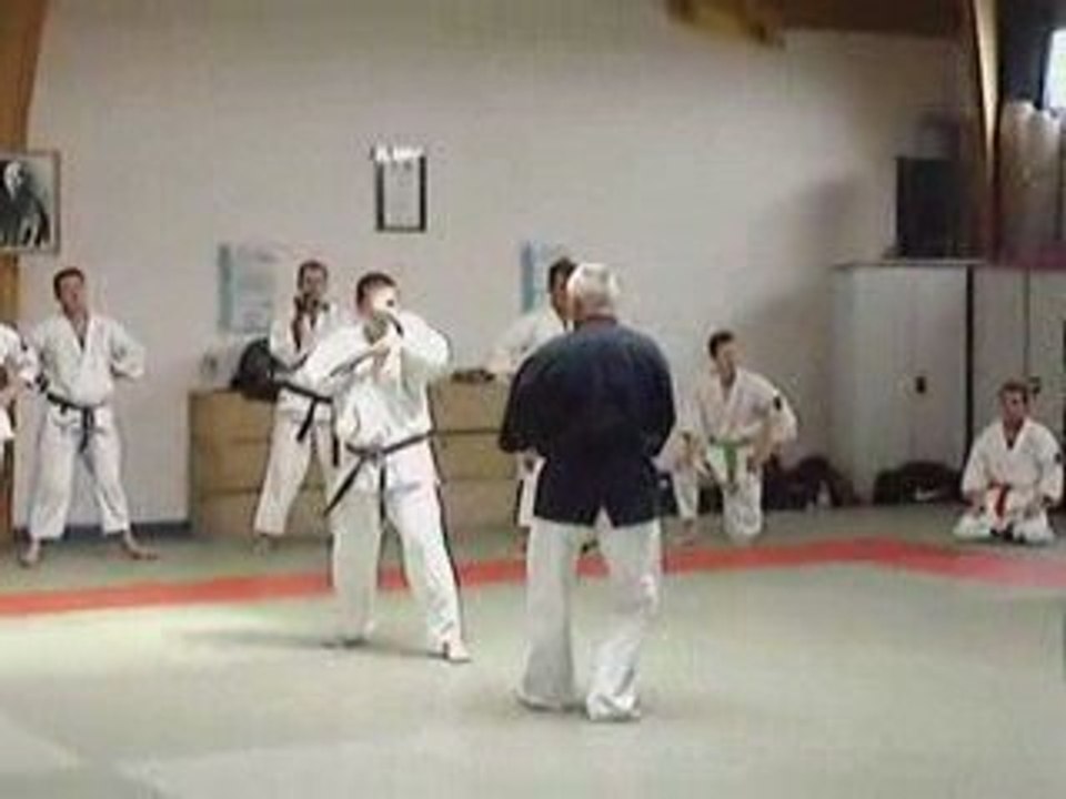 Nihon tai Jitsu - Gusti - Tai sabaki et kyusho jutsu