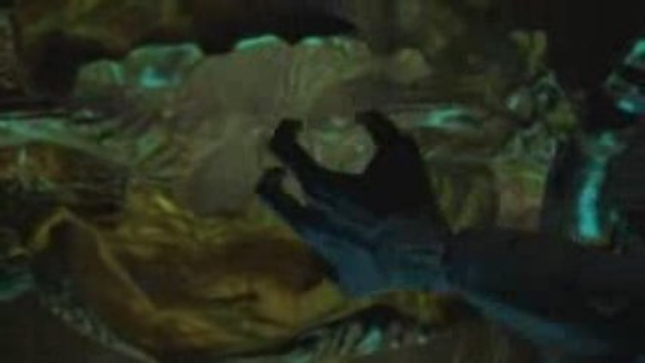 Halo 2 Episode 5