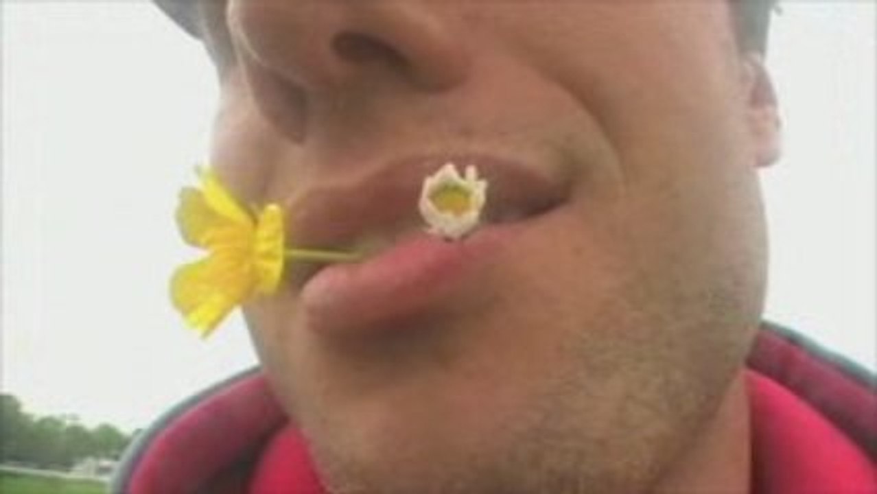 Will kite and flowers