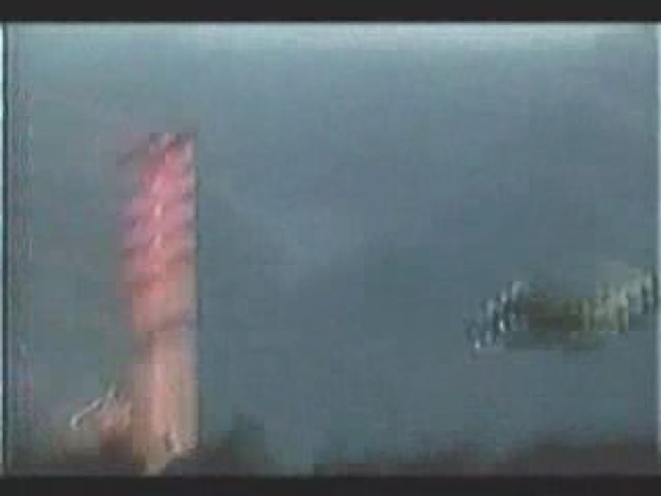 Ovni filmé dans la province de Pordenone (Italie) - Hoax ?