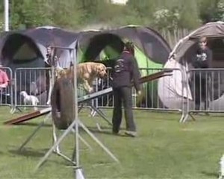 Agility 3 Senlis 09