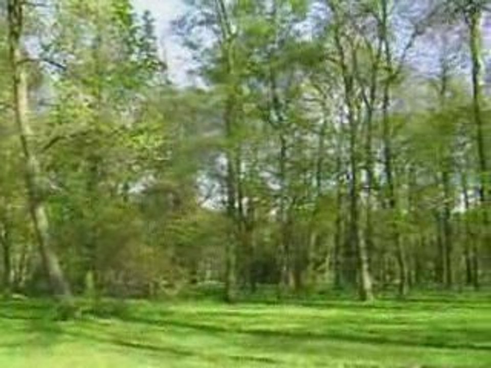 Arkadia-piękny romantyczny park koło Łowicza