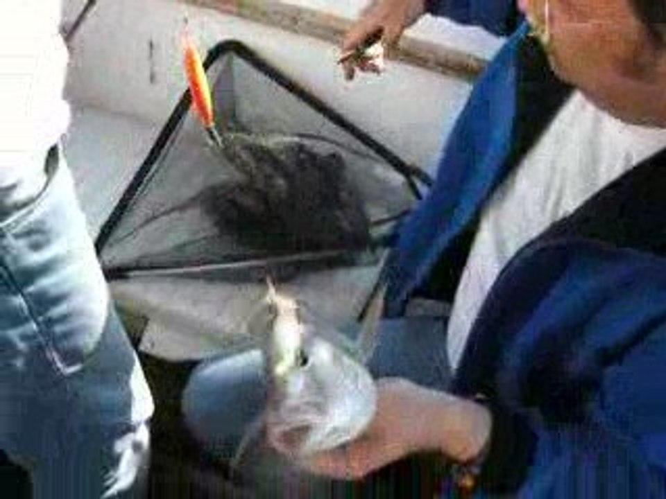 Sinarit Rapalada DSCN2899