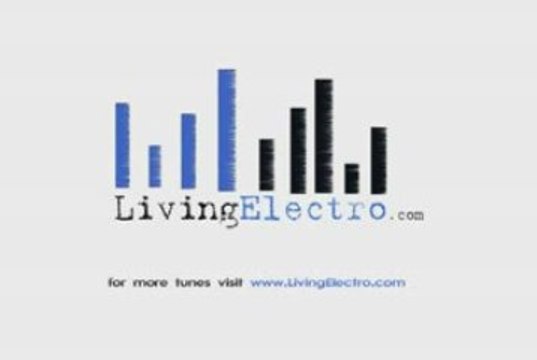 Alan Master T - The Best Of Me (Electro-House Remix)